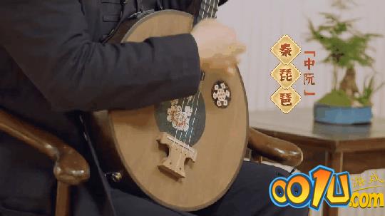 筑、中阮器乐演奏.gif