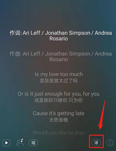 网易云音乐怎么关闭歌词翻译？网易云音乐关闭歌词翻译操作步骤截图