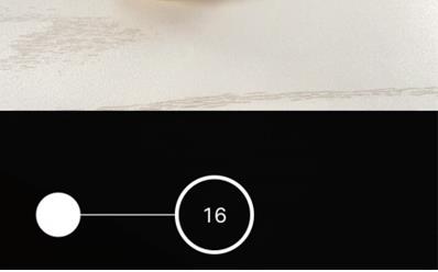 苹果13怎样设置连拍照片？iPhone13开启用音量键连拍照片功能流程一览截图