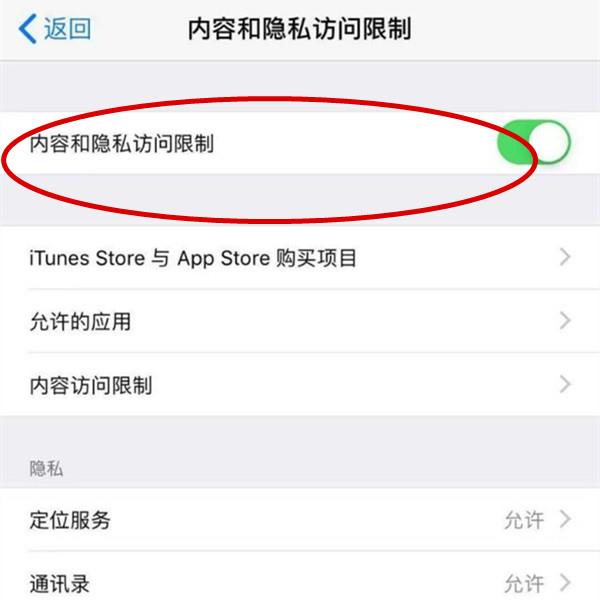 iphone手机访问限制功能在哪里?iphone手机设置访问限制方法介绍截图