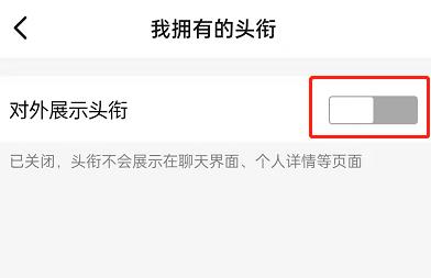 钉钉怎么关闭头衔展示？钉钉关闭头衔展示操作步骤截图