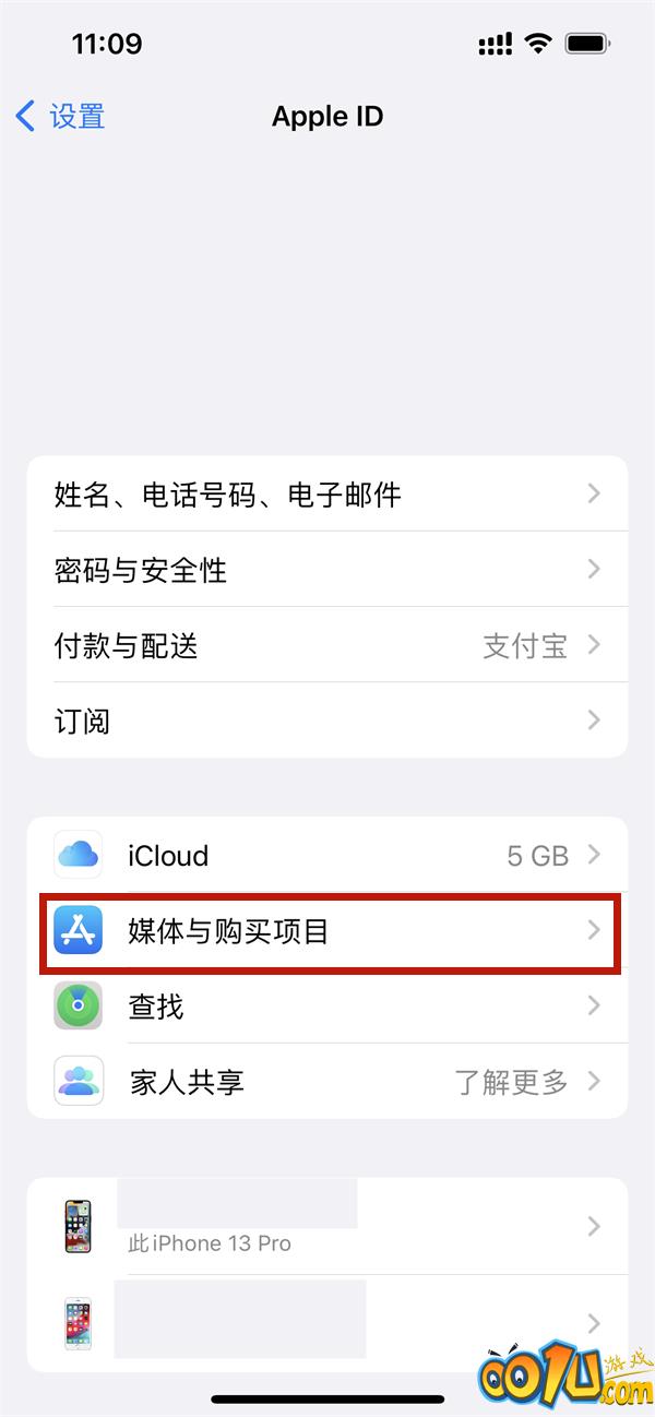 iPhone如何关闭ipad软件同步下载？iPhone禁止ipad同步软件教程一览截图