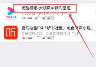 iphone12在哪关闭app store的自动续费功能 苹果12苹果商城关闭自动续费步骤截图