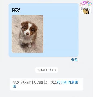 钉钉图片文字可以一起发吗？钉钉图片文字一起发教程截图