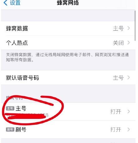 苹果12怎么开启volte功能？苹果12开启volte功能教程截图