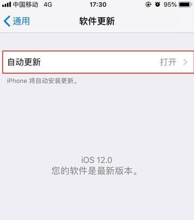 iPhone11pro max关掉系统自动更新的简单操作截图