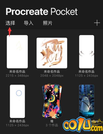 procreate pocket怎么预览作品？procreate pocket预览图片教程截图