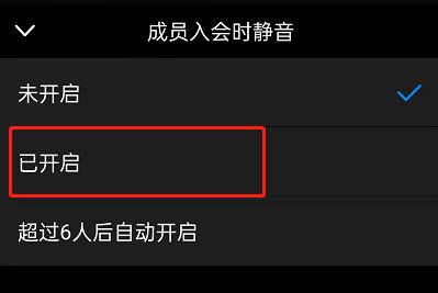 钉钉入会静音在哪里设置？钉钉开启成员入会静音步骤截图