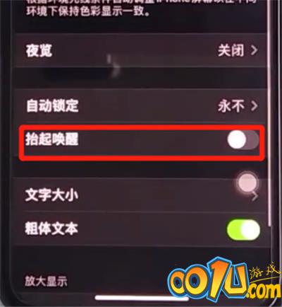 iphone11中设置抬起亮屏的方法步骤截图