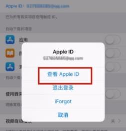 苹果手机绑定微信付款的操作教程截图