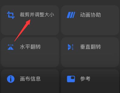 procreate pocket如何调整画布大小？procreate pocket调整画布大小教程截图