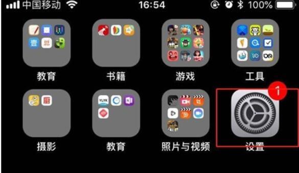 iPhone11pro max设置应用禁止使用流量的方法步骤截图