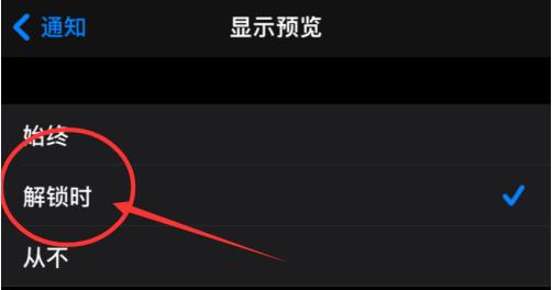 iPhone12怎么不显示通知预览 iPhone12设置显示消息通知的方法截图