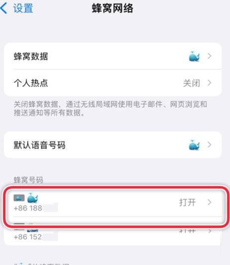 iPhone13promax如何设置主卡副卡?iPhone13promax主卡副卡设置步骤介绍