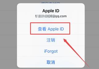 iphone12在哪关闭app store的自动续费功能 苹果12苹果商城关闭自动续费步骤截图