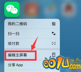 iPhone12桌面布局如何设置 iPhone12桌面布局设置方法截图