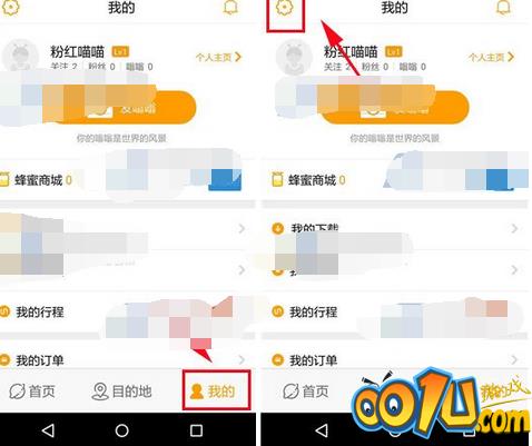 蚂蜂窝自由行中取消私信提醒的方法截图