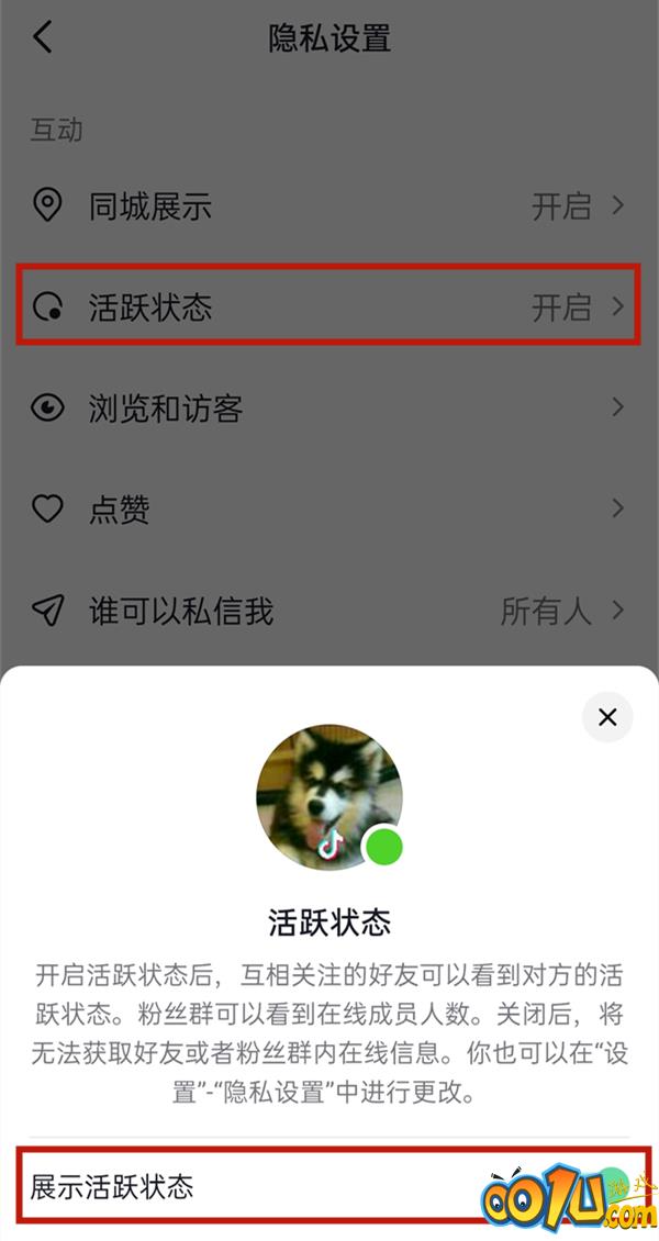 抖音怎么设置隐身不在线？抖音关闭活跃状态方法介绍截图