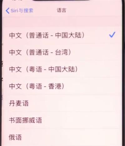 iphone11中设置Siri语言的具体方法截图