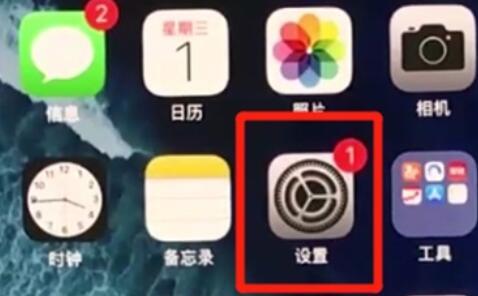 iPhone11pro max开启悬浮球的操作步骤截图