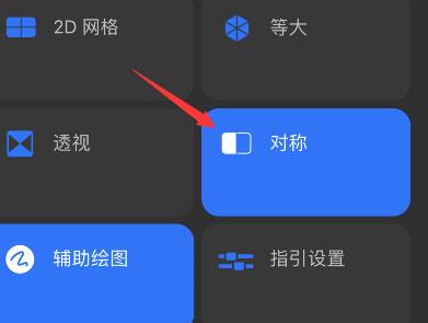 procreate pocket怎么开启对称?procreate pocket对称设置教程截图