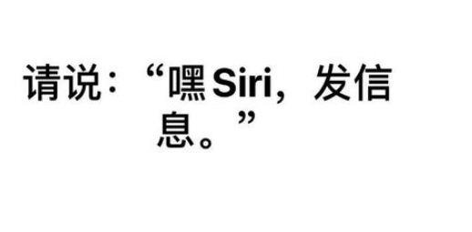 苹果11召唤SIRI的操作过程讲解截图