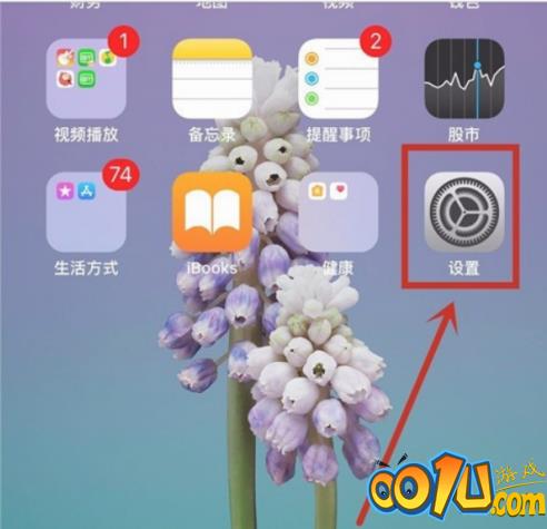 iPhone12自动调节亮度怎么关 iPhone12自动调节亮度关闭方法截图