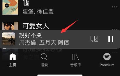 spotify怎么看歌词?spotify歌词查询方法介绍截图