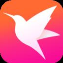 迅雷直播app