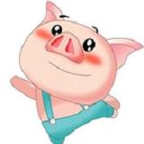 猪猪影院手机版