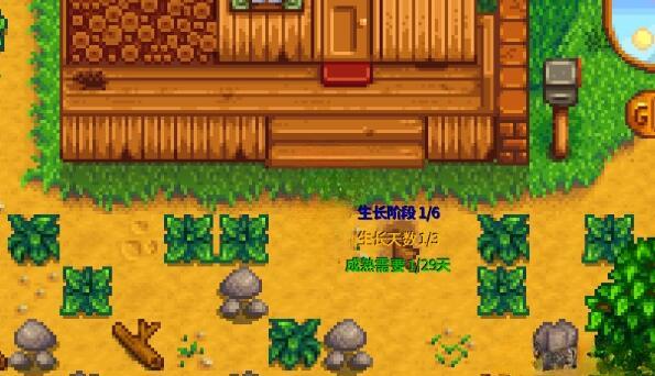 《星露谷物语》作物生长信息MOD汉化版