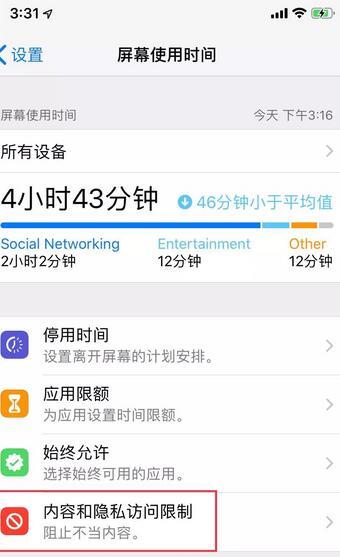 苹果6s访问限制设置方法步骤截图