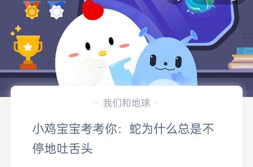 小鸡宝宝考考你蛇为什么总是不停地吐舌头?支付宝蚂蚁庄园8月15日答案