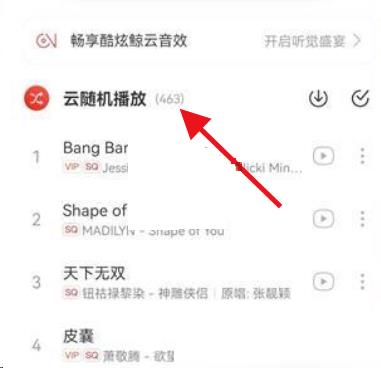 网易云音乐云随机怎么关闭？网易云音乐云随机关闭教程截图