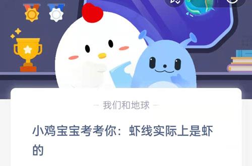 小鸡宝宝考考你，虾线实际上是虾的?支付宝蚂蚁庄园7月26日答案