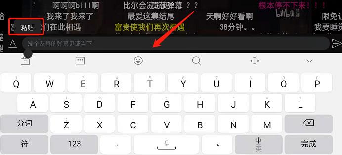 哔哩哔哩怎么复制弹幕？哔哩哔哩复制弹幕方法截图