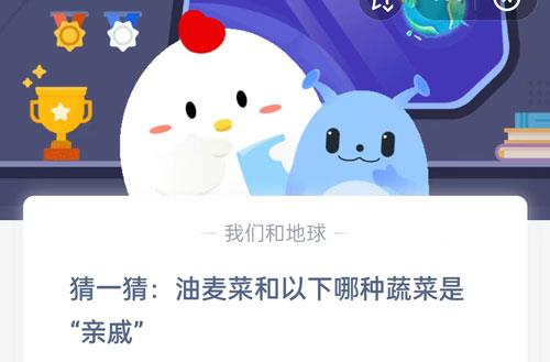 猜一猜：油麦菜和以下哪种蔬菜是“亲戚”?支付宝蚂蚁庄园5月24日答案