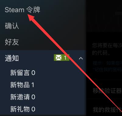 Steam中救援代码怎么看？Steam中看救援代码的方法截图