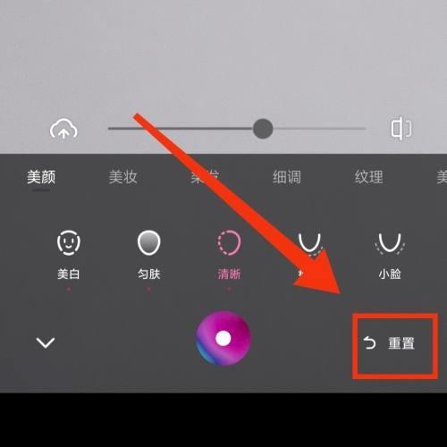 一甜相机怎么重置参数？一甜相机重置参数教程截图