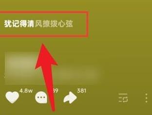 汽水音乐怎么看歌词？汽水音乐看歌词的具体操作