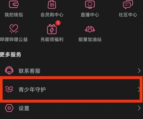哔哩哔哩青少年守护在什么位置？哔哩哔哩找到青少年守护位置的方法截图