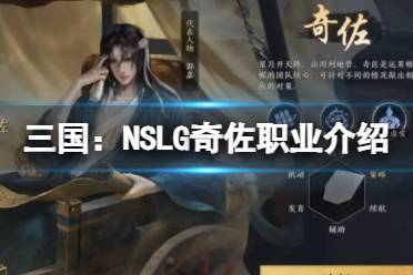 三国：NSLG奇佐职业介绍 六大职业介绍