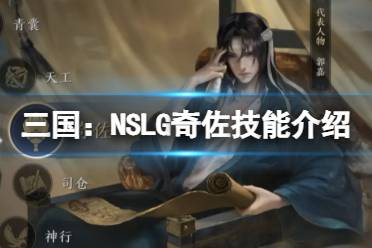 三国：NSLG奇佐技能介绍 奇佐天赋大招介绍