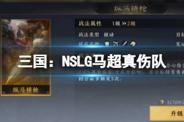 三国：NSLG马超真伤队 马超诸葛亮刘备