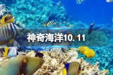 海牛和陆牛像的地方 神奇海洋10.11