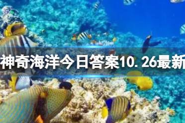 白鲸的头部有个圆形的凸起，猜猜有什么用 神奇海洋今日答案10.26最新