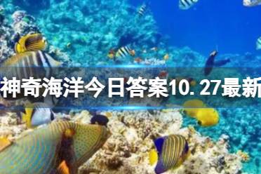 哪种海马是小不点 11.2神奇海洋答案最新