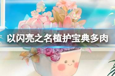 以闪亮之名植护宝典多肉 五星限定饰品等你来拿