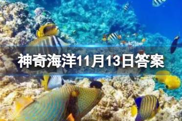 猜一猜哪一种海洋生物属于节肢动物 神奇海洋11月13日答案