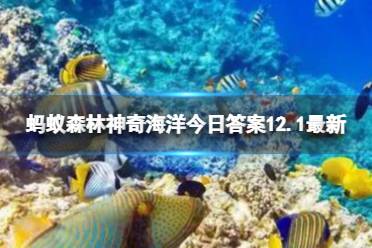 以下关于海参的说法哪个是正确的 神奇海洋海参答案12.1最新